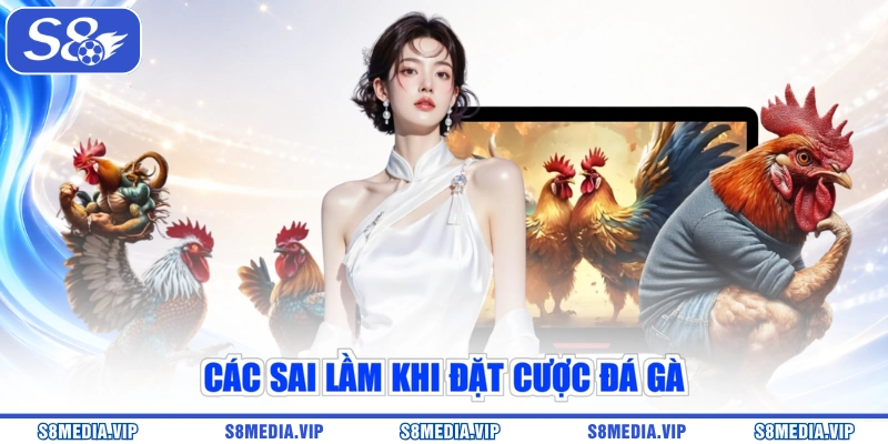 Các sai lầm khi đặt cược đá gà