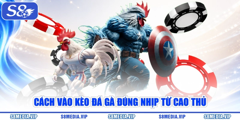 Cách vào kèo đá gà đúng nhịp từ cao thủ