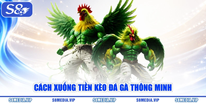 Cách xuống tiền kèo đá gà thông minh