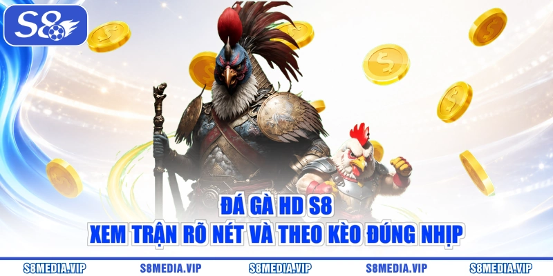 Đá Gà HD S8 – Xem Trận Rõ Nét Và Theo Kèo Đúng Nhịp