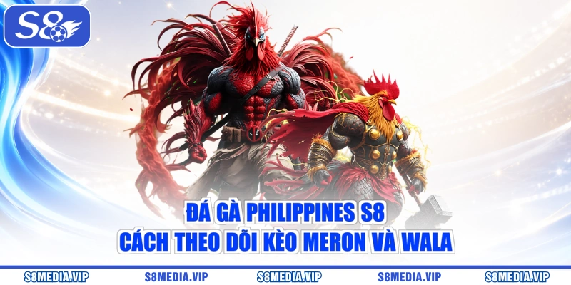 Đá Gà Philippines S8 – Cách Theo Dõi Kèo Meron Và Wala
