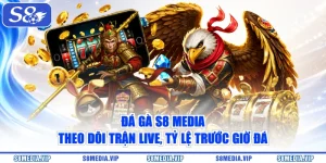 Đá Gà S8 Media – Theo Dõi Trận Live, Tỷ Lệ Trước Giờ Đá