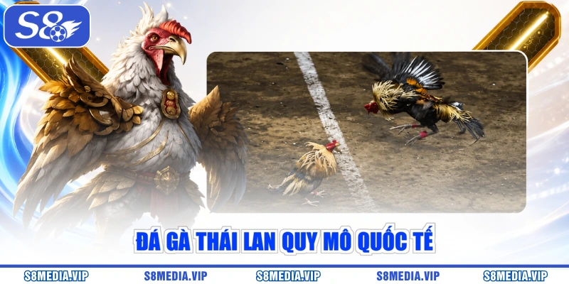 Đá gà Thái Lan quy mô quốc tế