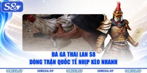 Đá Gà Thái Lan S8 – Dòng Trận Quốc Tế Nhịp Kèo Nhanh