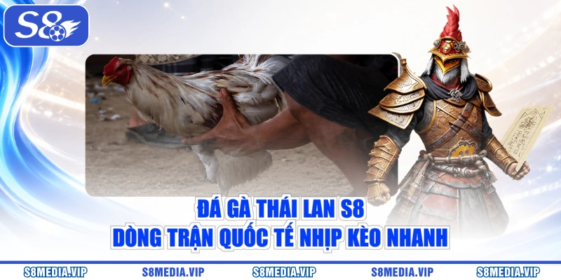 Đá Gà Thái Lan S8 – Dòng Trận Quốc Tế Nhịp Kèo Nhanh