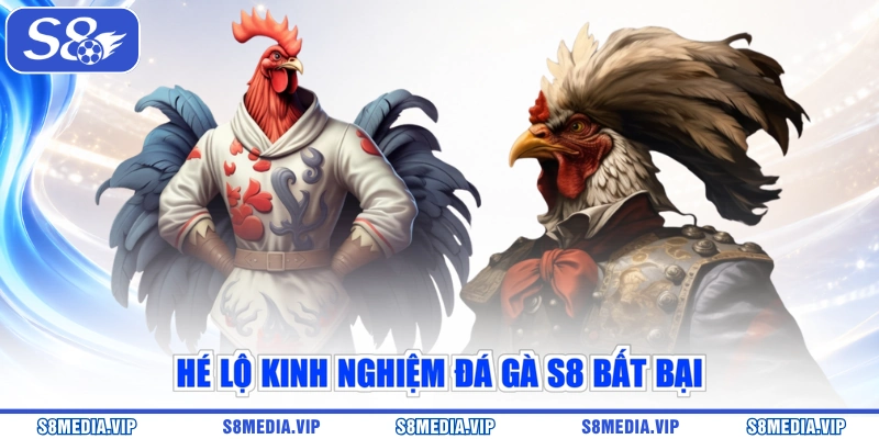 Hé lộ kinh nghiệm đá gà S8 bất bại