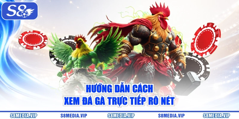 Hướng dẫn cách xem đá gà trực tiếp rõ nét