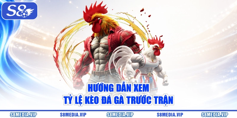 Hướng dẫn xem tỷ lệ kèo đá gà trước trận