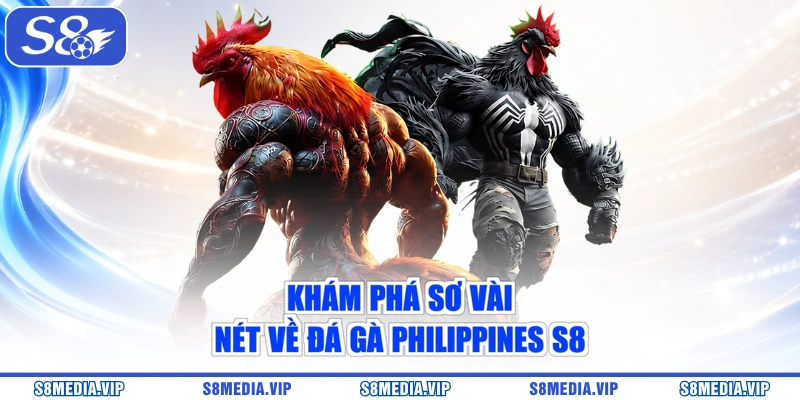 Khám phá sơ vài nét về đá gà Philippines S8