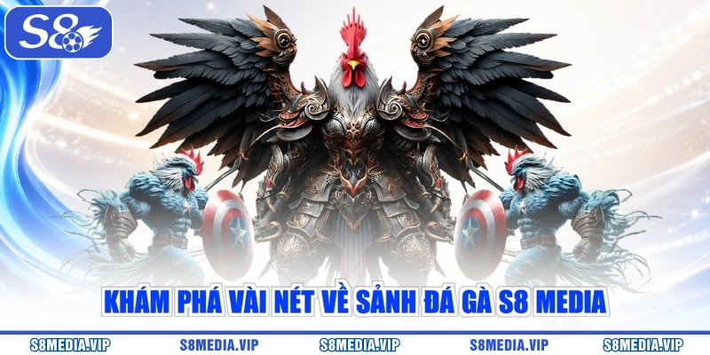 Khám phá vài nét về sảnh đá gà S8 Media