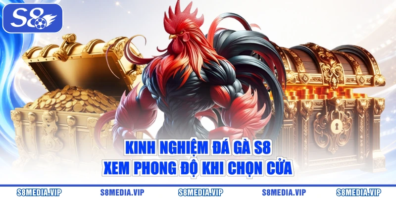 Kinh Nghiệm Đá Gà S8 - Xem Phong Độ Khi Chọn Cửa