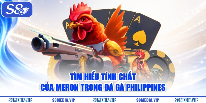 Tìm hiểu tính chất của Meron trong đá gà Philippines