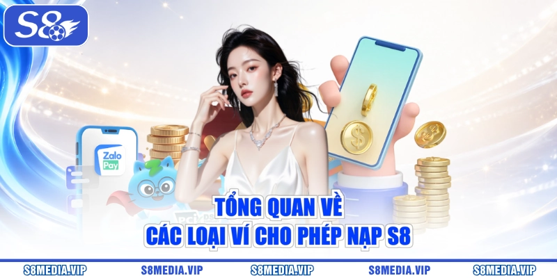 Tổng quan về các loại ví cho phép nạp S8