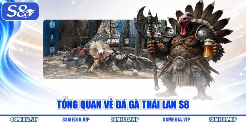 Tổng quan về đá gà Thái Lan S8
